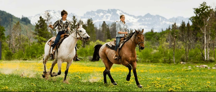 Confident plus-size woman riding Solihull Lodge a horse through a field with a smile on her face.